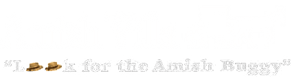 Amish Villa